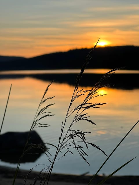 Private Traditional Sauna, Ice Dip and Dinner in the Wild - Should you book this private sauna, ice dip, and wild dinner?