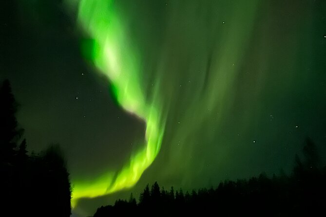 PRO Northern Lights Experience in Rovaniemi - Logistics that keep the night simple