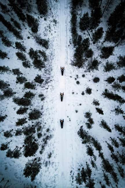 Pyhä: Forest Trails Snowmobile Safari - What the 2.5 Hours Actually Includes, From Safety Briefing to Igloos