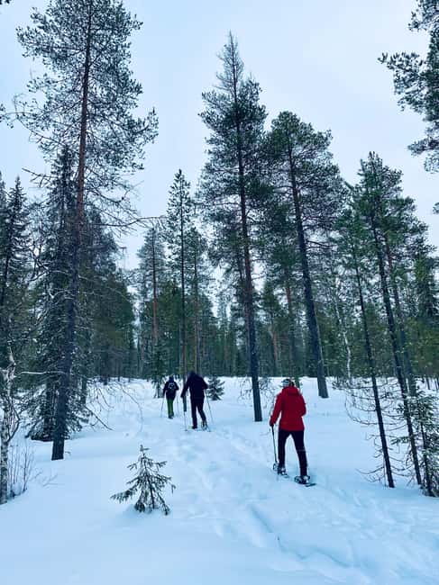 Pyhätunturi: Private Snowshoeing Tour With Local Guide - Your local guide: Mikko’s kind of tour is about people, not just places