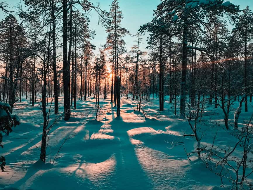 Pyhätunturi: Private Snowshoeing Tour With Local Guide - Who this tour suits best (and who should pick something else)