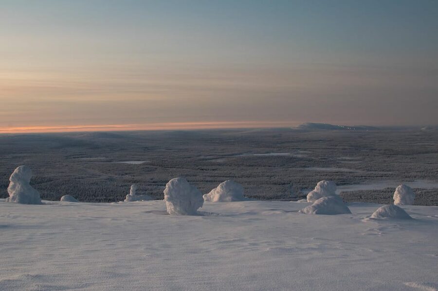 Pyhätunturi: Scenic Snowshoeing Tour in Finnish Lapland - Price and value: what you get for about $133