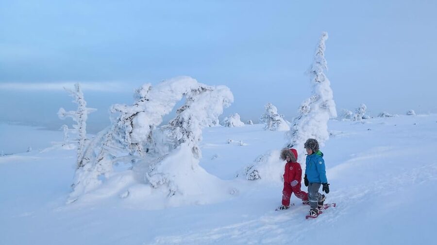 Pyhätunturi: Scenic Snowshoeing Tour in Finnish Lapland - Guided snowshoeing through Pyhä-Luosto National Park