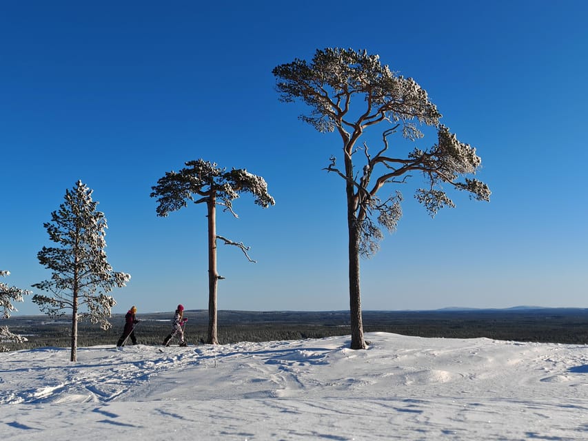 Pyhätunturi: Try Wilderness Skiing in Finnish Lapland - Who This Tour Fits Best, and Who Should Skip It