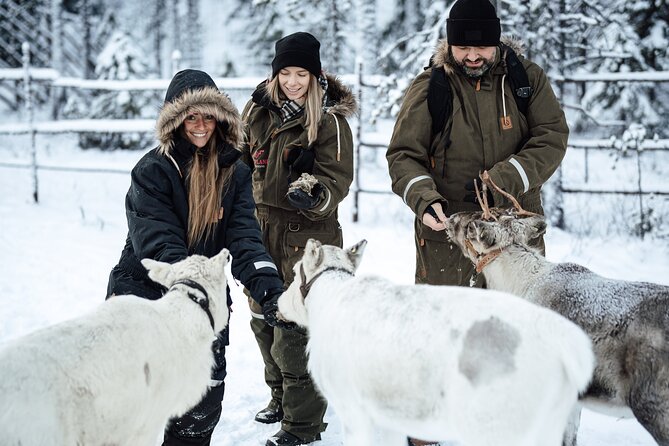 Ranua Lupland Activity Park Entry with Reindeer Experience - Key things to know before you go