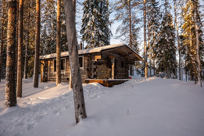 Ranua Lupland Activity Park Entry with Reindeer Experience - Cozy sleigh with snowmobile power, plus the reindeer hide vibe