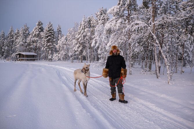 Ranua Lupland Activity Park Entry with Reindeer Experience - Warm gear, base layers, and how not to ruin your day with cold hands