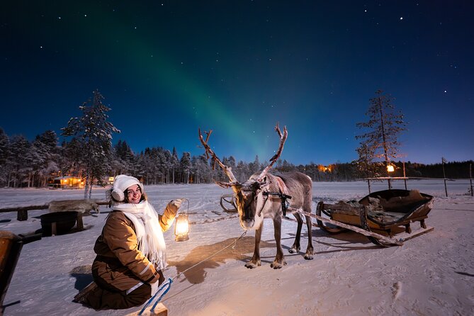 Ranua Lupland Aurora Activity Park - After Dark Adventure - Key things to know before you go