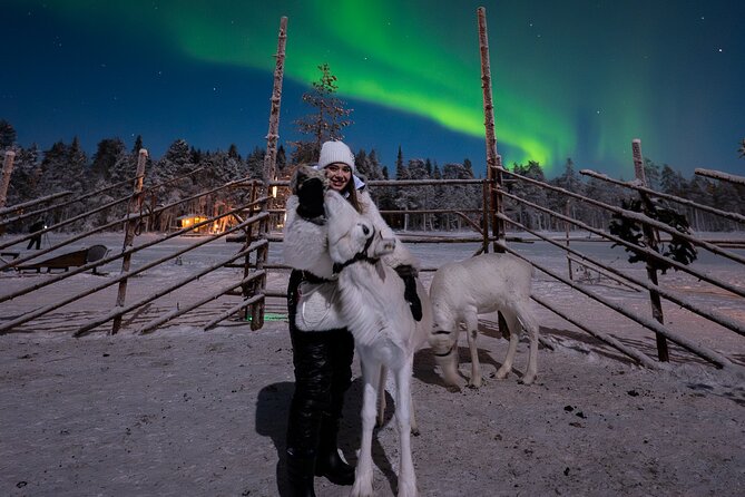 Ranua Lupland Aurora Activity Park - After Dark Adventure - Ranua After Dark: A 3-hour Aurora Plan With Hands-on Winter Fun