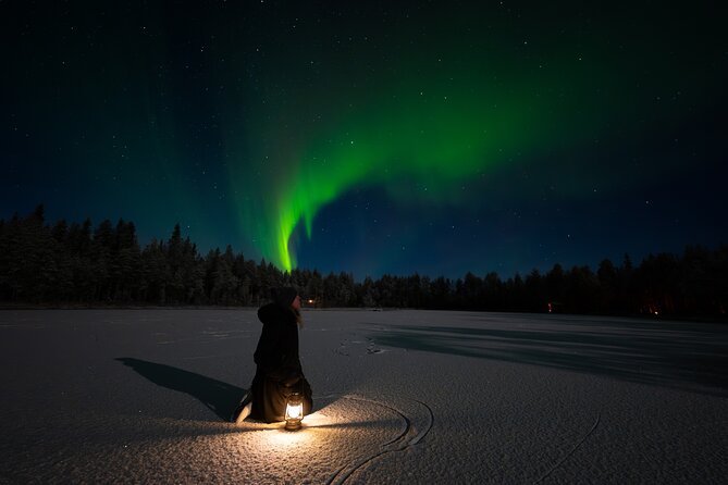 Ranua Lupland Aurora Activity Park - After Dark Adventure - Price and value: is $203.06 per person fair for what you get?
