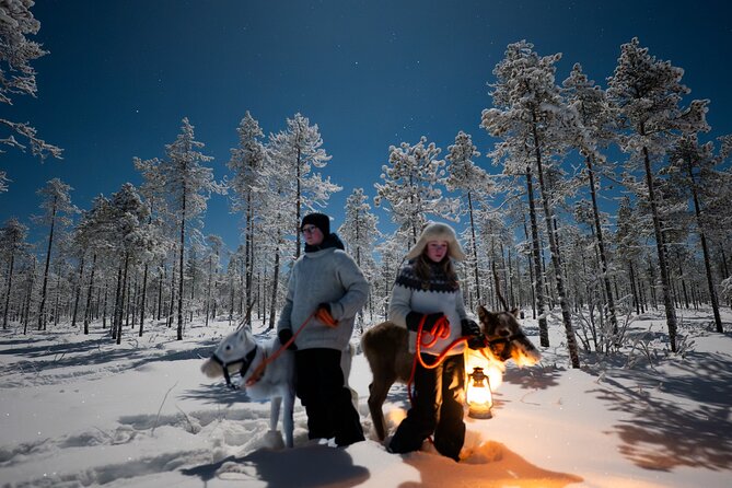 Ranua Lupland Aurora Activity Park – After Dark Adventure - Pickup and meeting points in Ranua (so you do not waste your night)