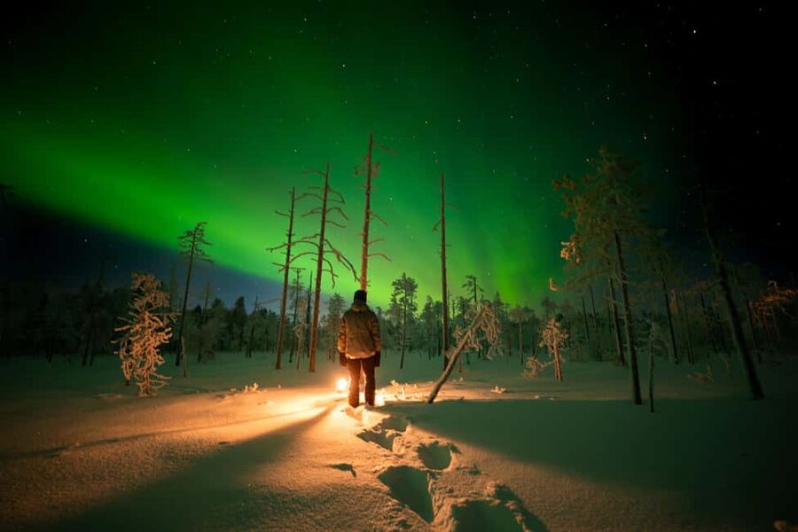 Ranua: Northern Lights tour with Campfire Meal & Pro Camera - How the Guide Chooses the Aurora Spot