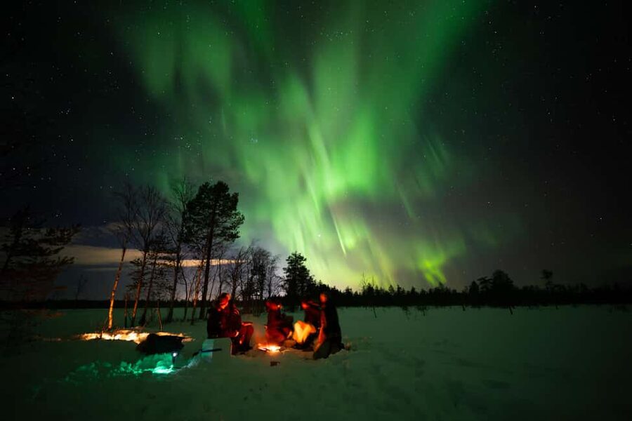 Ranua: Northern Lights tour with Campfire Meal & Pro Camera - Small Group Energy: Why Up to 8 Participants Helps