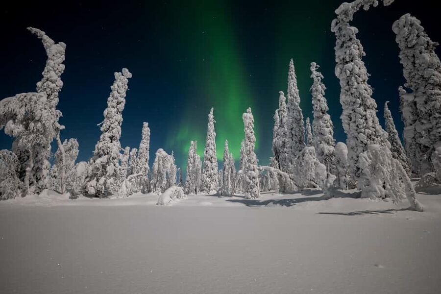 Ranua: Northern Lights tour with Campfire Meal & Pro Camera - English and Finnish Guidance