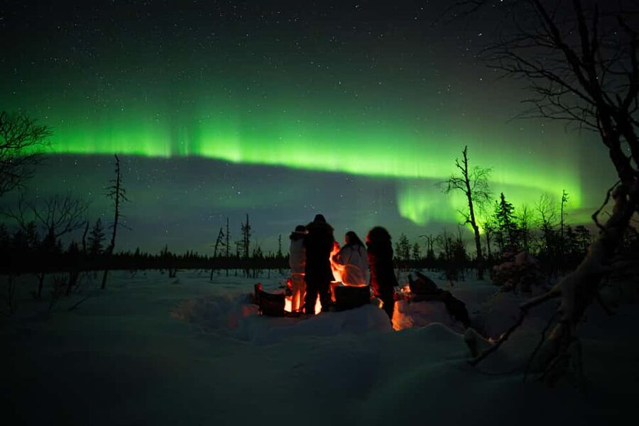 Ranua: Northern Lights tour with Campfire Meal & Pro Camera - Pickup from Ranua Resort Areas, Plus the Timing That Matters