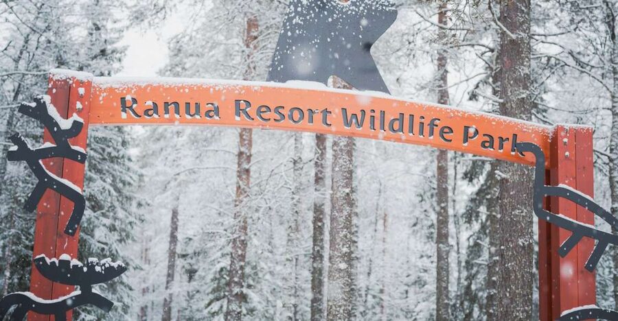 Ranua Wildlife Park Day: Visit the Arctic Animals - What you can spot: polar bears, arctic foxes, wolverines, and more