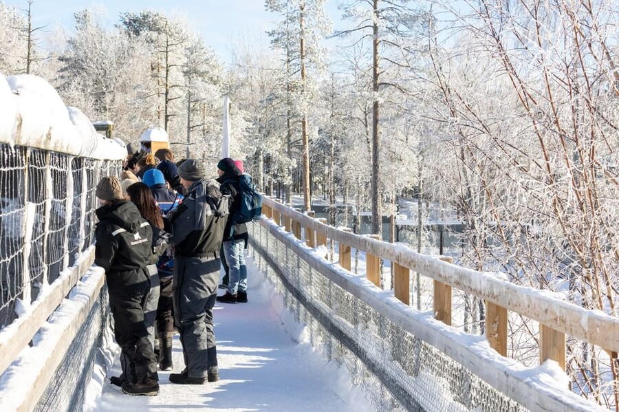 Ranua: Wildlife Park Entrance Ticket - What to bring for Finland cold, plus rules that keep it safe