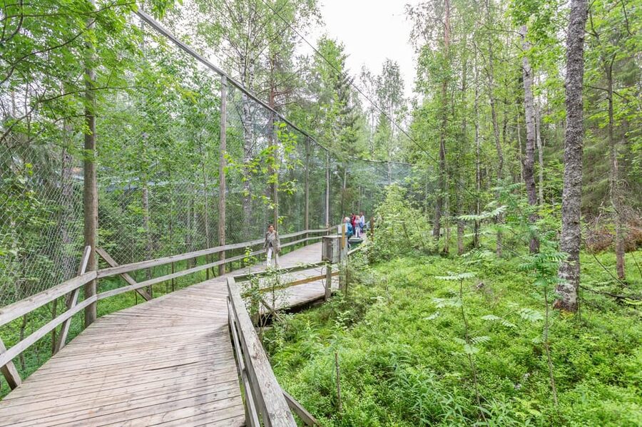 Ranua: Wildlife Park Entrance Ticket - Who should book this ticket, and who might not love it