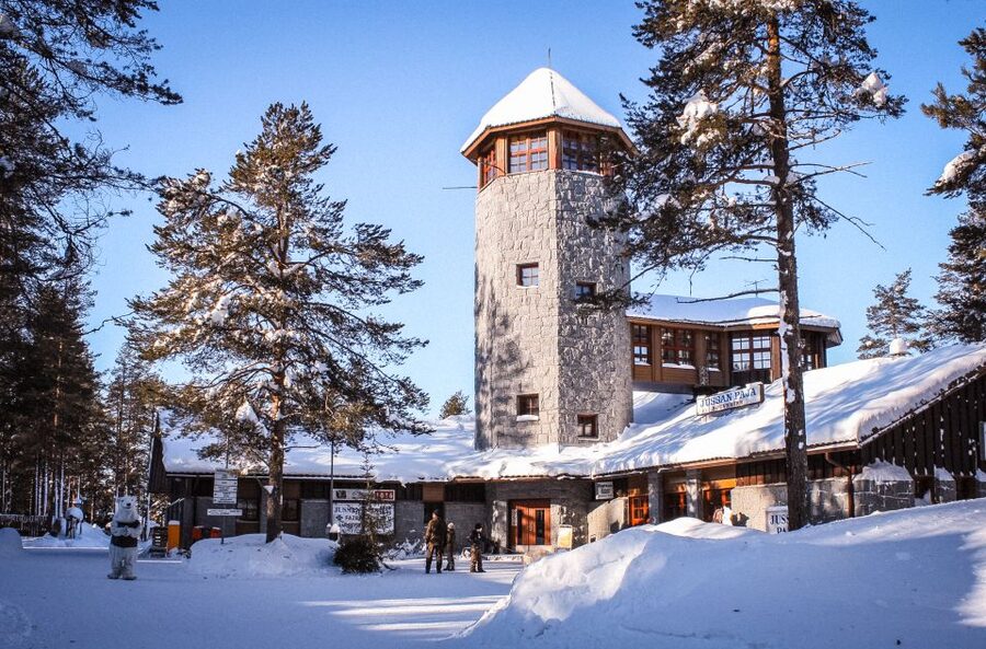Ranua Wildlife Park Guided Tour from Rovaniemi, With Lunch - Inside the Park: 50 Arctic Species in Realistic Conifer Forest Enclosures