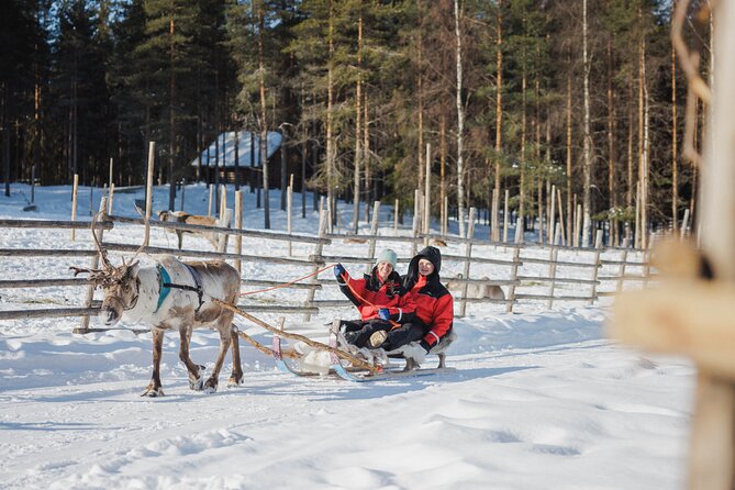 Reindeer Experience with Sledge Ride - Who should book this, and who might want a longer option