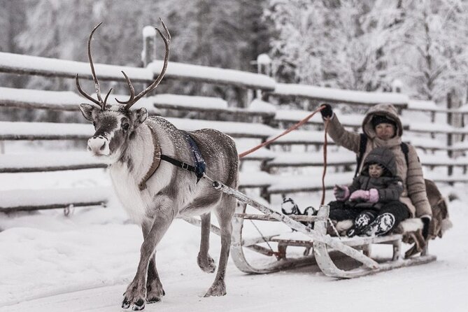 REINDEER FARM VISIT a real authentic experience - Key highlights at a glance
