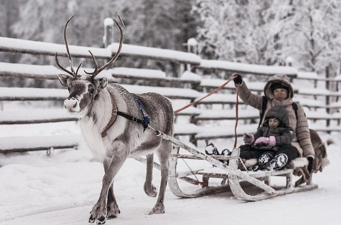 REINDEER FARM VISIT a real authentic experience - Who Should Book This Reindeer Farm Visit?