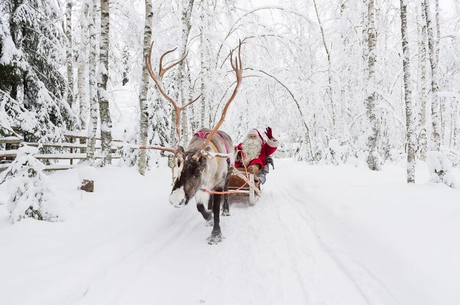 Reindeer Farm Visit with Sleigh Ride - Snacking, Hot Drinks, and the Warm-Down Moment