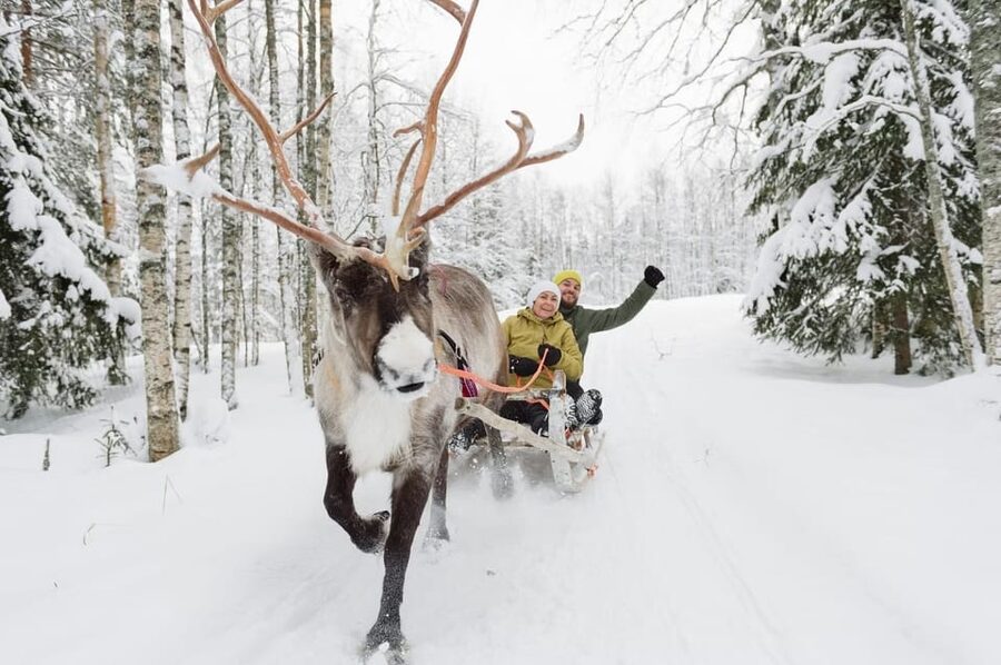 Reindeer Farm Visit with Sleigh Ride - Price and Logistics: Is 140 Per Person Good Value?