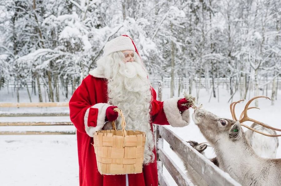 Reindeer Farm Visit with Sleigh Ride - Should You Book It? My Practical Decision Guide