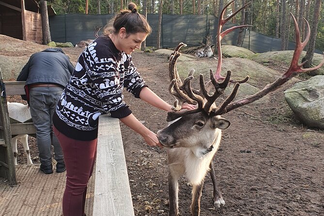 Reindeer Park Adventure - Timing, pickup accuracy, and how weather affects the day