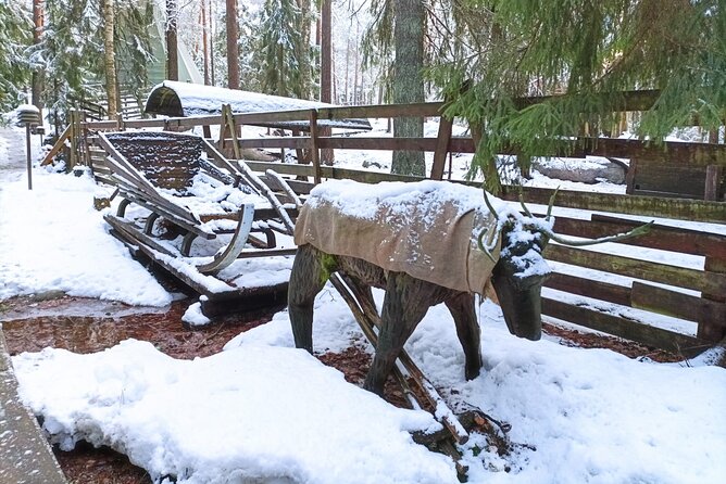 Reindeer Park & Horse Stables Safari - Helsinki pickup and private transport: less hassle, more time outside
