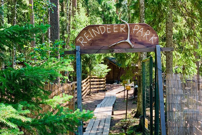 Reindeer Park & Horse Stables Safari - Reindeer park time: how the feeding experience usually plays out