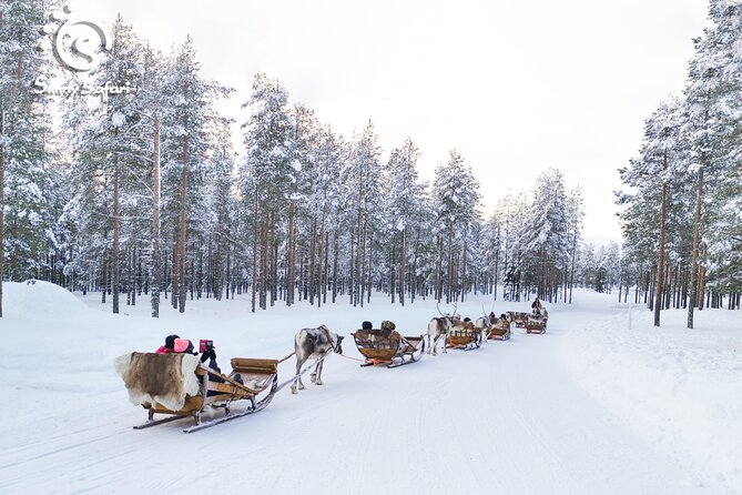 Reindeer Safari in Arctic Wilderness - Thermal Gear That Actually Helps (Not Just Looks Cute)