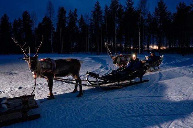 Reindeer Sleigh Ride Across the Night in Apukka Resort Rovaniemi - Timing and pickup in Rovaniemi: don’t miss the bus