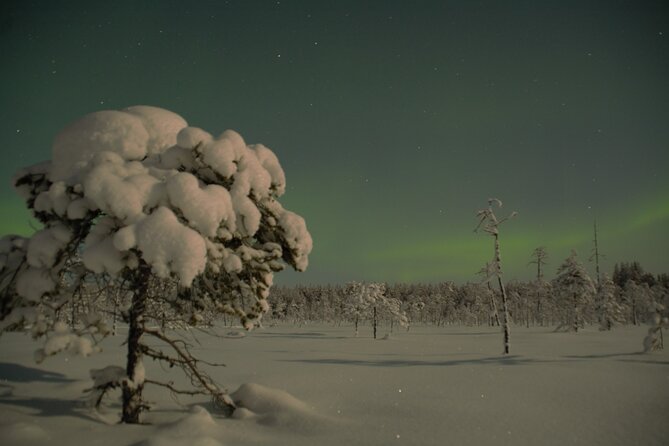 Reindeer Sleigh Ride Across the Night in Apukka Resort Rovaniemi - The sleigh ride through the dark woods: slow, quiet, and real