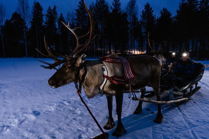 Reindeer Sleigh Ride Across the Night in Apukka Resort Rovaniemi - Northern Lights searching, explained in plain terms