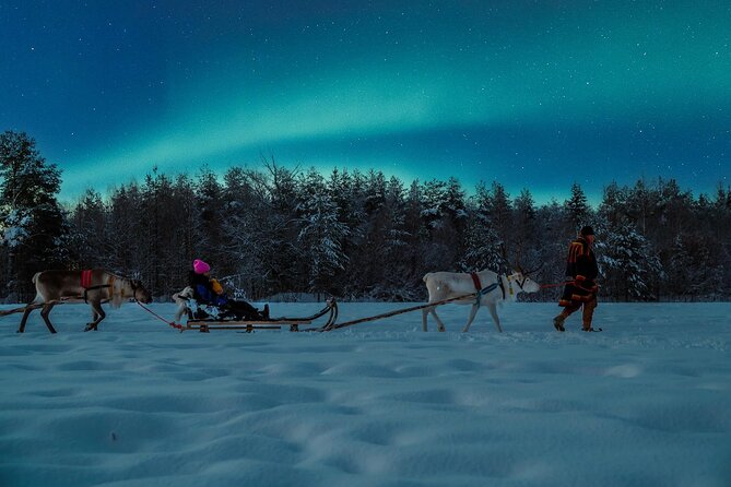 Reindeer Sleigh Ride Across the Night in Apukka Resort Rovaniemi - Guides and the human side of Lapland