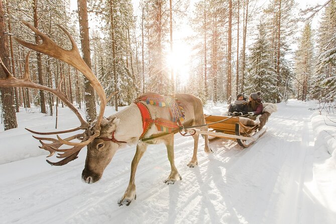 Reindeer Sleigh Ride and Farm Experience from Rovaniemi - Your guide and the reindeer “driver license” moment