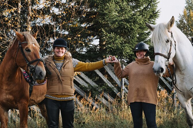 Riding Tour with Finnhorses at Santa Claus Village - Meeting Aurora Horses near Santa Claus Village