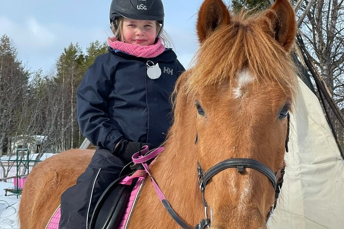 Riding Tour with Finnhorses at Santa Claus Village - Price, group size, and value you can actually judge