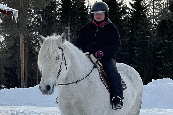Riding Tour with Finnhorses at Santa Claus Village - Weather and winter reality checks