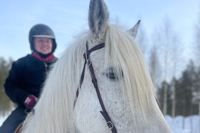 Riding Tour with Finnhorses at Santa Claus Village - Your snowy trek: how the staff sets you up to feel safe