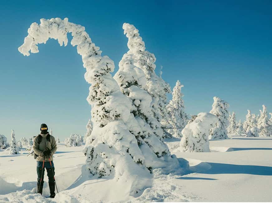 Riisitunturi & Frozen Waterfall Full Day Tour with Photos - Why Riisitunturi and Korouoma Work So Well Together