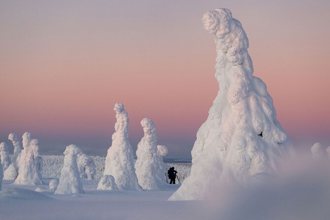 Riisitunturi Snow Monsters Winter Hike from Rovaniemi with Lunch - Key things to know before you go