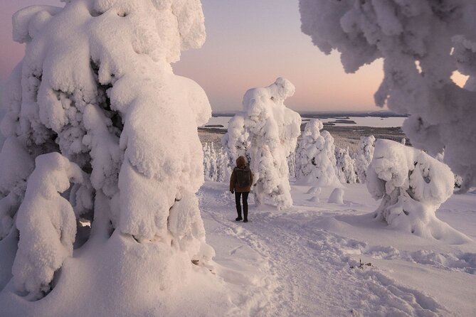 Riisitunturi Snow Monsters Winter Hike from Rovaniemi with Lunch - Riisitunturi and the Arctic Snow Monsters, why this is special