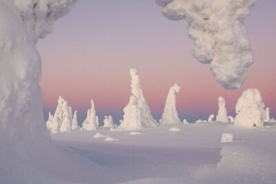 Riisitunturi Snow Monsters Winter Hike from Rovaniemi with Lunch