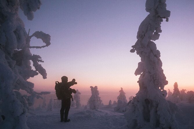 Riisitunturi Snow Monsters Winter Hike from Rovaniemi with Lunch - Small-group pace, guide energy, and better photo timing