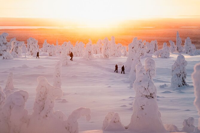 Riisitunturi Snow Monsters Winter Hike from Rovaniemi with Lunch - Getting value for about $215, and where the money goes