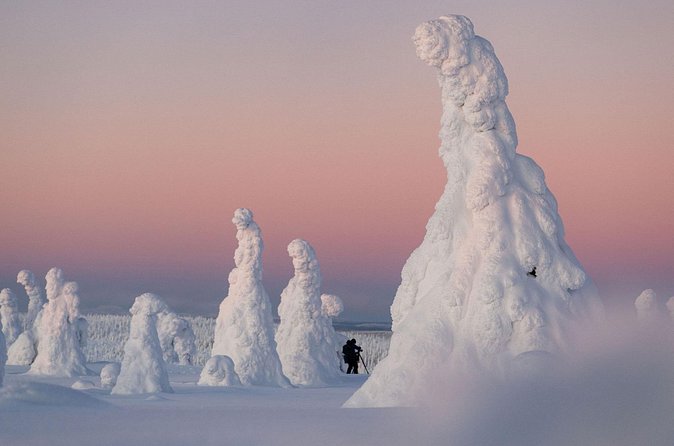Riisitunturi Snow Monsters Winter Hike from Rovaniemi with Lunch - Who should book this, and who should skip it