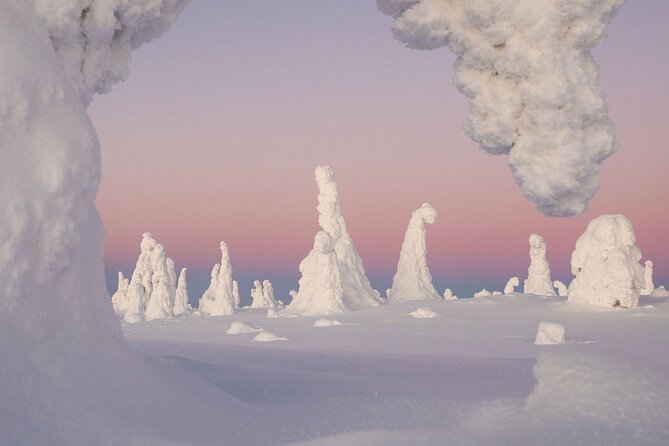 Riisitunturi Snow Monsters Winter Hike from Rovaniemi with Lunch - How the day runs, from 8:00 start to a return to Rovaniemi